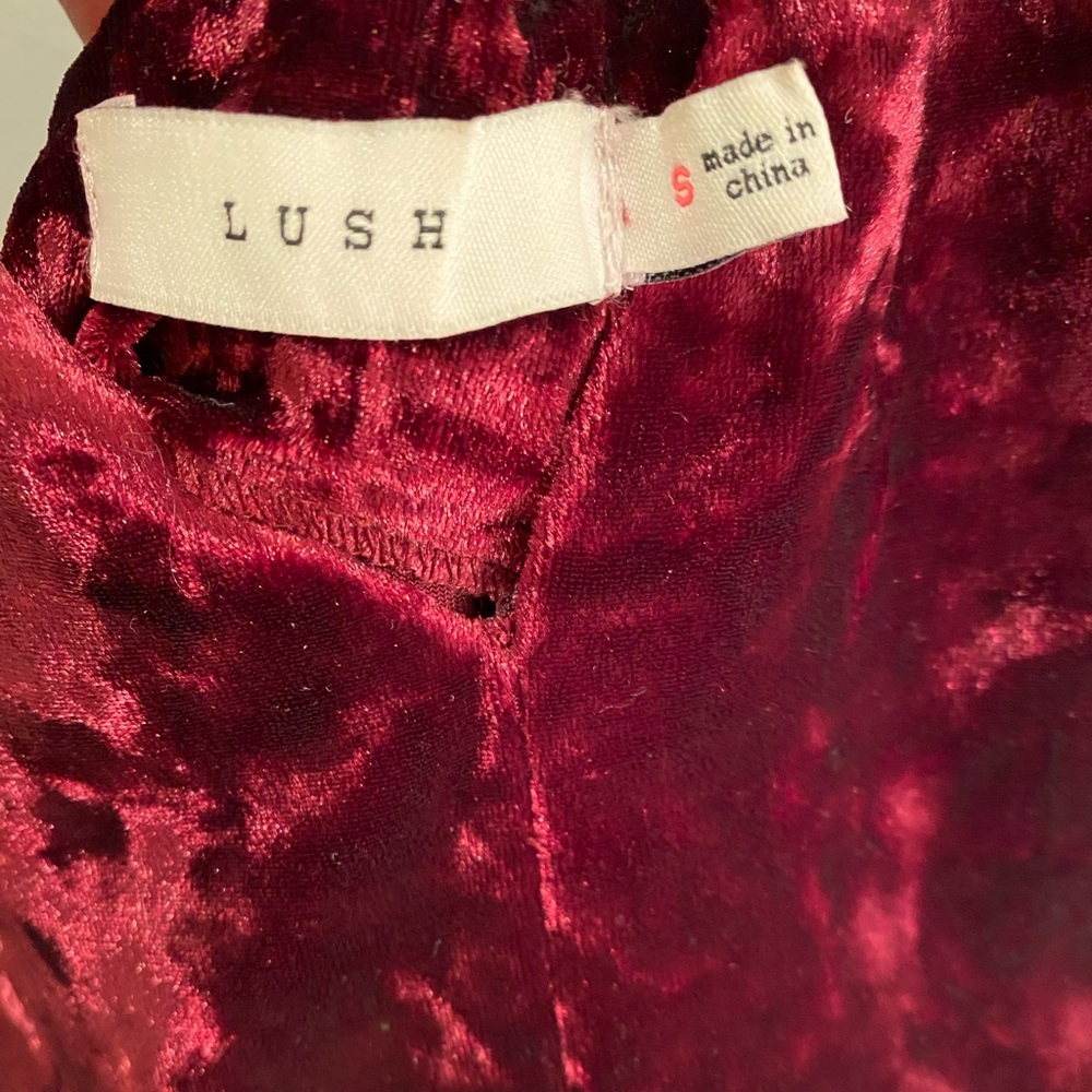 LUSH Velvet Mini Dress - Picture 3 of 4
